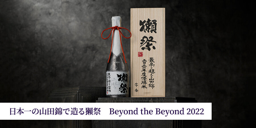 Beyond the Beyond 2022